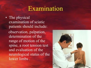 examination of sciatica examination of sciatica