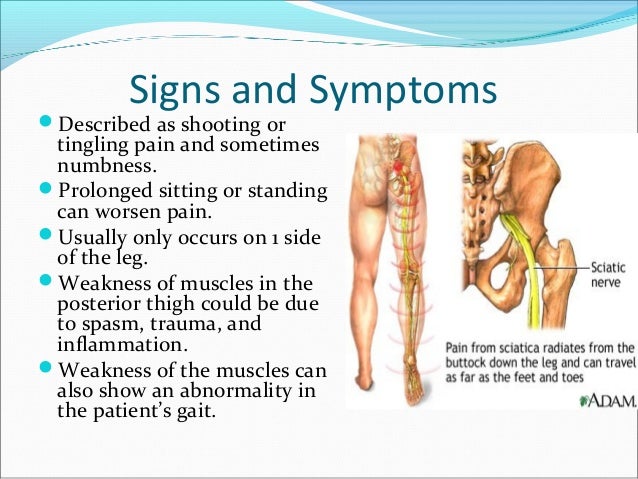 nerve testing for back pain nerve testing for back pain