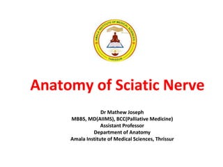 Anatomy of Sciatic Nerve
Dr Mathew Joseph
MBBS, MD(AIIMS), BCC(Palliative Medicine)
Assistant Professor
Department of Anatomy
Amala Institute of Medical Sciences, Thrissur
 