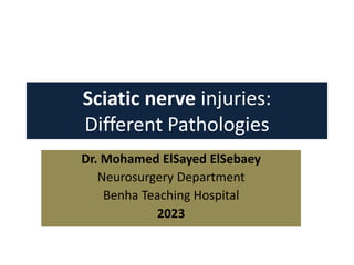 Sciatic nerve injuries:
Different Pathologies
Dr. Mohamed ElSayed ElSebaey
Neurosurgery Department
Benha Teaching Hospital
2023
 