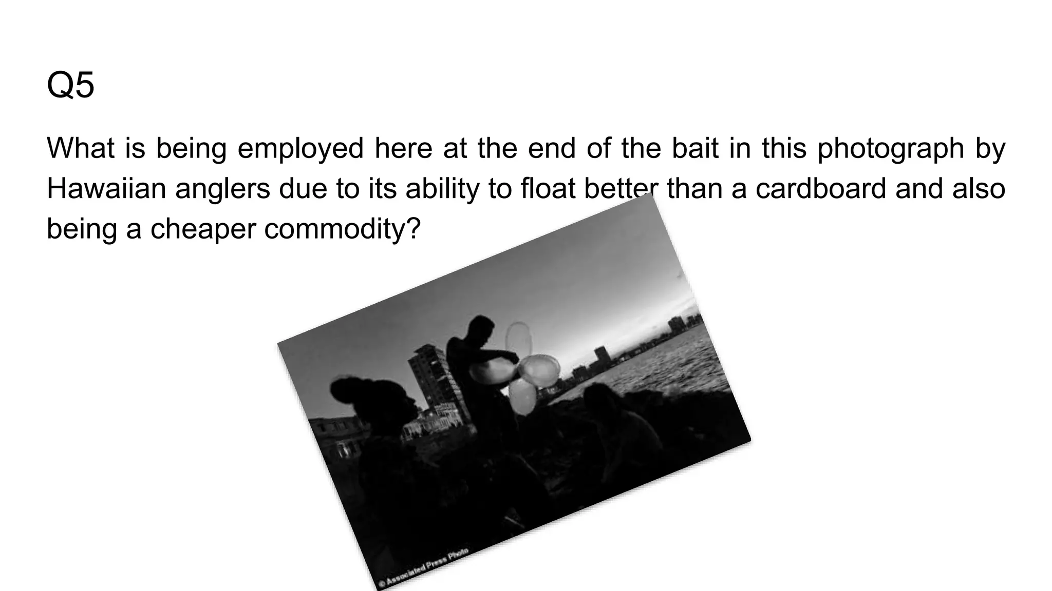 Q5
What is being employed here at the end of the bait in this photograph by
Hawaiian anglers due to its ability to float better than a cardboard and also
being a cheaper commodity?
 