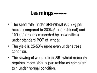 Learnings--------
• The seed rate under SRI-Wheat is 25 kg per
  hec as compared to 200kg/hec(traditional) and
  100 kg/hec (recommended by universities)
  under standard POP of wheat.
• The yield is 25-50% more even under stress
  condition.
• The sowing of wheat under SRI-wheat manually
  requires more labours per kathha as compared
  to 1 under normal condition.
 