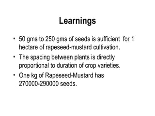 Learnings
• 50 gms to 250 gms of seeds is sufficient for 1
  hectare of rapeseed-mustard cultivation.
• The spacing between plants is directly
  proportional to duration of crop varieties.
• One kg of Rapeseed-Mustard has
  270000-290000 seeds.
 
