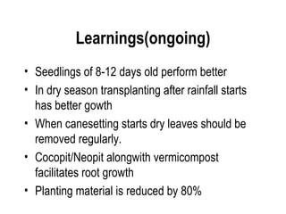 Learnings(ongoing)
• Seedlings of 8-12 days old perform better
• In dry season transplanting after rainfall starts
  has better gowth
• When canesetting starts dry leaves should be
  removed regularly.
• Cocopit/Neopit alongwith vermicompost
  facilitates root growth
• Planting material is reduced by 80%
 