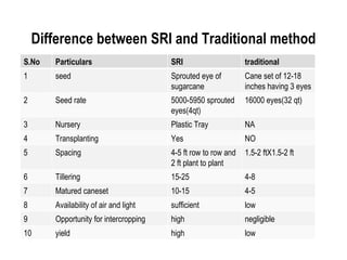 Difference between SRI and Traditional method
S.No   Particulars                     SRI                     traditional
1      seed                            Sprouted eye of         Cane set of 12-18
                                       sugarcane               inches having 3 eyes
2      Seed rate                       5000-5950 sprouted      16000 eyes(32 qt)
                                       eyes(4qt)
3      Nursery                         Plastic Tray            NA
4      Transplanting                   Yes                     NO
5      Spacing                         4-5 ft row to row and   1.5-2 ftX1.5-2 ft
                                       2 ft plant to plant
6      Tillering                       15-25                   4-8
7      Matured caneset                 10-15                   4-5
8      Availability of air and light   sufficient              low
9      Opportunity for intercropping   high                    negligible
10     yield                           high                    low
 