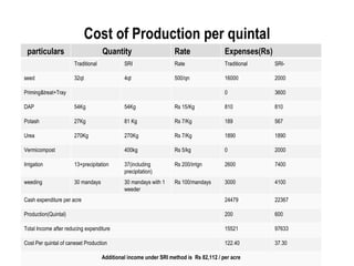 Cost of Production per quintal
 particulars                        Quantity                      Rate                 Expenses(Rs)
                      Traditional            SRI                  Rate                 Traditional    SRI-

seed                  32qt                   4qt                  500/qn               16000          2000

Priming&treat+Tray                                                                     0              3600

DAP                   54Kg                   54Kg                 Rs 15/Kg             810            810

Potash                27Kg                   81 Kg                Rs 7/Kg              189            567

Urea                  270Kg                  270Kg                Rs 7/Kg              1890           1890

Vermicompost                                 400kg                Rs 5/kg              0              2000

Irrigation            13+precipitation       37(including         Rs 200/irrign        2600           7400
                                             precipitation)
weeding               30 mandays             30 mandays with 1    Rs 100/mandays       3000           4100
                                             weeder
Cash expenditure per acre                                                              24479          22367

Production(Quintal)                                                                    200            600

Total Income after reducing expenditure                                                15521          97633

Cost Per quintal of caneset Production                                                 122.40         37.30

                                    Additional income under SRI method is Rs 82,112 / per acre
 