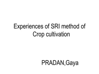 Experiences of SRI method of
       Crop cultivation



          PRADAN,Gaya
 