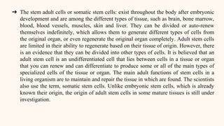 ➔ The stem adult cells or somatic stem cells: exist throughout the body after embryonic
development and are among the different types of tissue, such as brain, bone marrow,
blood, blood vessels, muscles, skin and liver. They can be divided or auto-renew
themselves indefinitely, which allows them to generate different types of cells from
the original organ, or even regenerate the original organ completely. Adult stem cells
are limited in their ability to regenerate based on their tissue of origin. However, there
is an evidence that they can be divided into other types of cells. It is believed that an
adult stem cell is an undifferentiated cell that lies between cells in a tissue or organ
that you can renew and can differentiate to produce some or all of the main types of
specialized cells of the tissue or organ. The main adult functions of stem cells in a
living organism are to maintain and repair the tissue in which are found. The scientists
also use the term, somatic stem cells. Unlike embryonic stem cells, which is already
known their origin, the origin of adult stem cells in some mature tissues is still under
investigation.
 