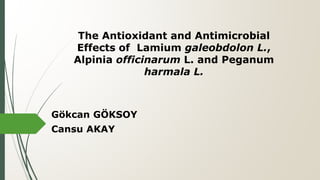 The Antioxidant and Antimicrobial
Effects of Lamium galeobdolon L.,
Alpinia officinarum L. and Peganum
harmala L.
Gökcan GÖKSOY
Cansu AKAY
 