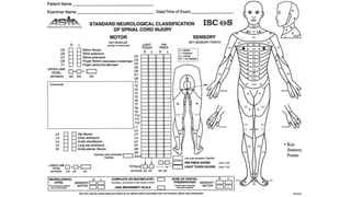 Sci Classification Color Sci classification | PPTX