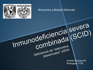 Bioquímica y Biología Molecular




                       Andrés Queupumil
                       Rodríguez 1134
 