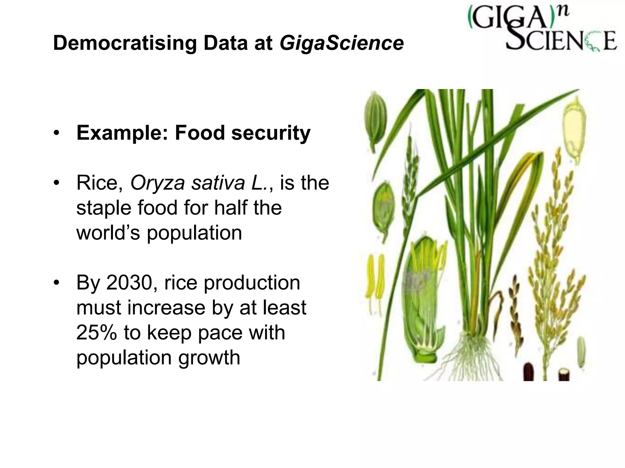 Democratising Data at GigaScience
• Example: Food security
• Rice, Oryza sativa L., is the
staple food for half the
world’s population
• By 2030, rice production
must increase by at least
25% to keep pace with
population growth
 