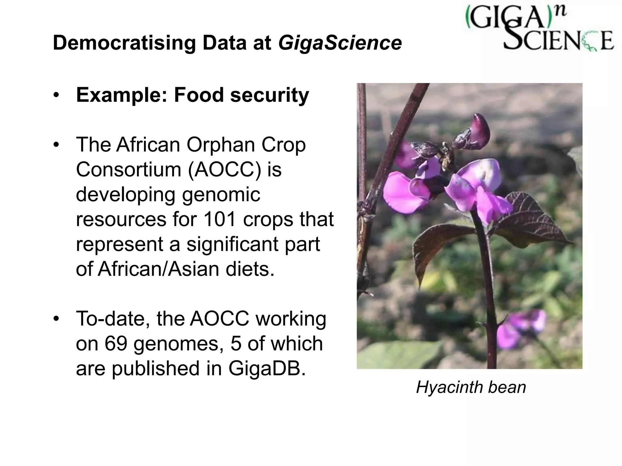 Democratising Data at GigaScience
• Example: Food security
• The African Orphan Crop
Consortium (AOCC) is
developing genomic
resources for 101 crops that
represent a significant part
of African/Asian diets.
• To-date, the AOCC working
on 69 genomes, 5 of which
are published in GigaDB.
Hyacinth bean
 