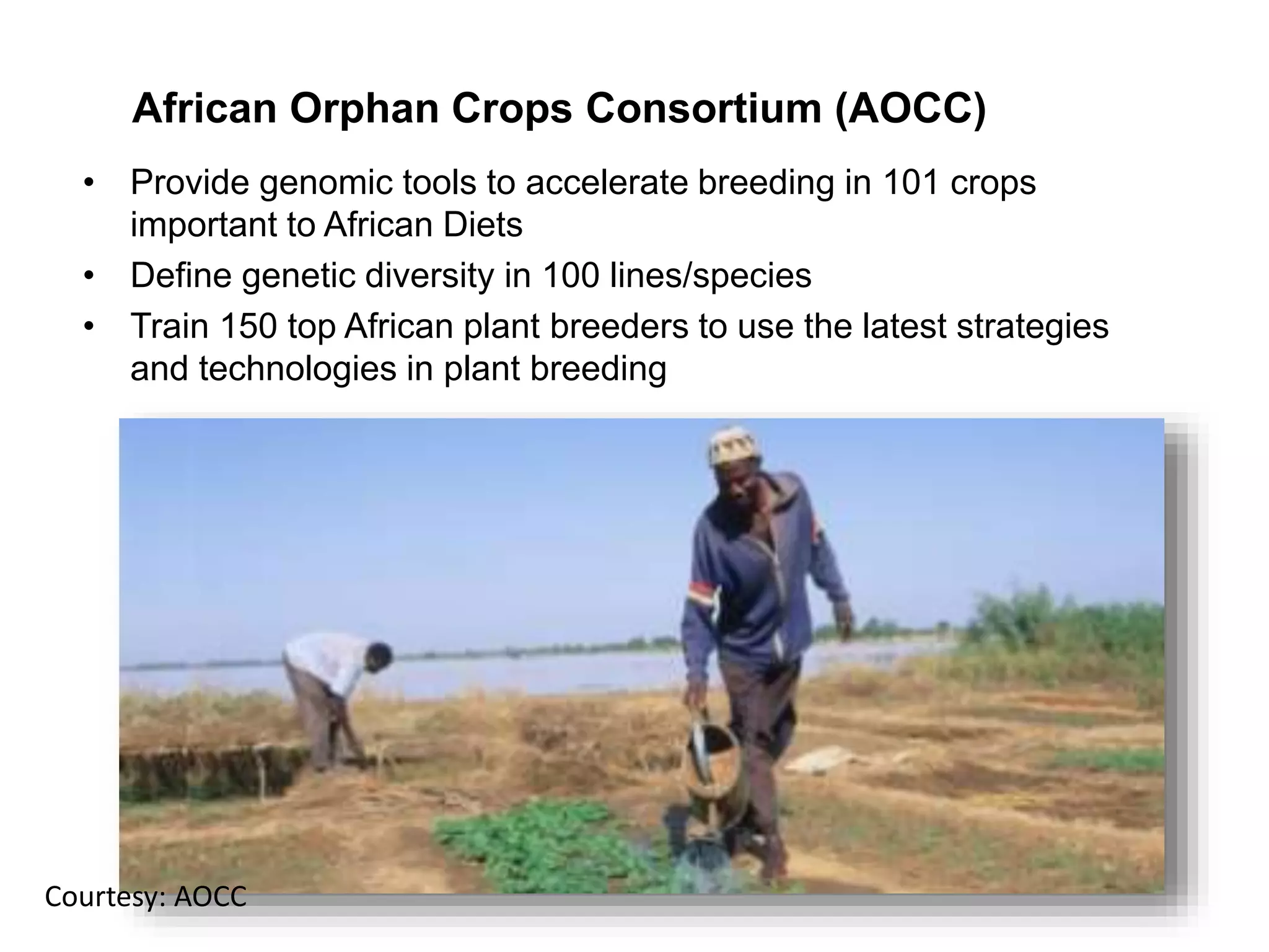 • Provide genomic tools to accelerate breeding in 101 crops
important to African Diets
• Define genetic diversity in 100 lines/species
• Train 150 top African plant breeders to use the latest strategies
and technologies in plant breeding
African Orphan Crops Consortium (AOCC)
Courtesy: AOCC
 