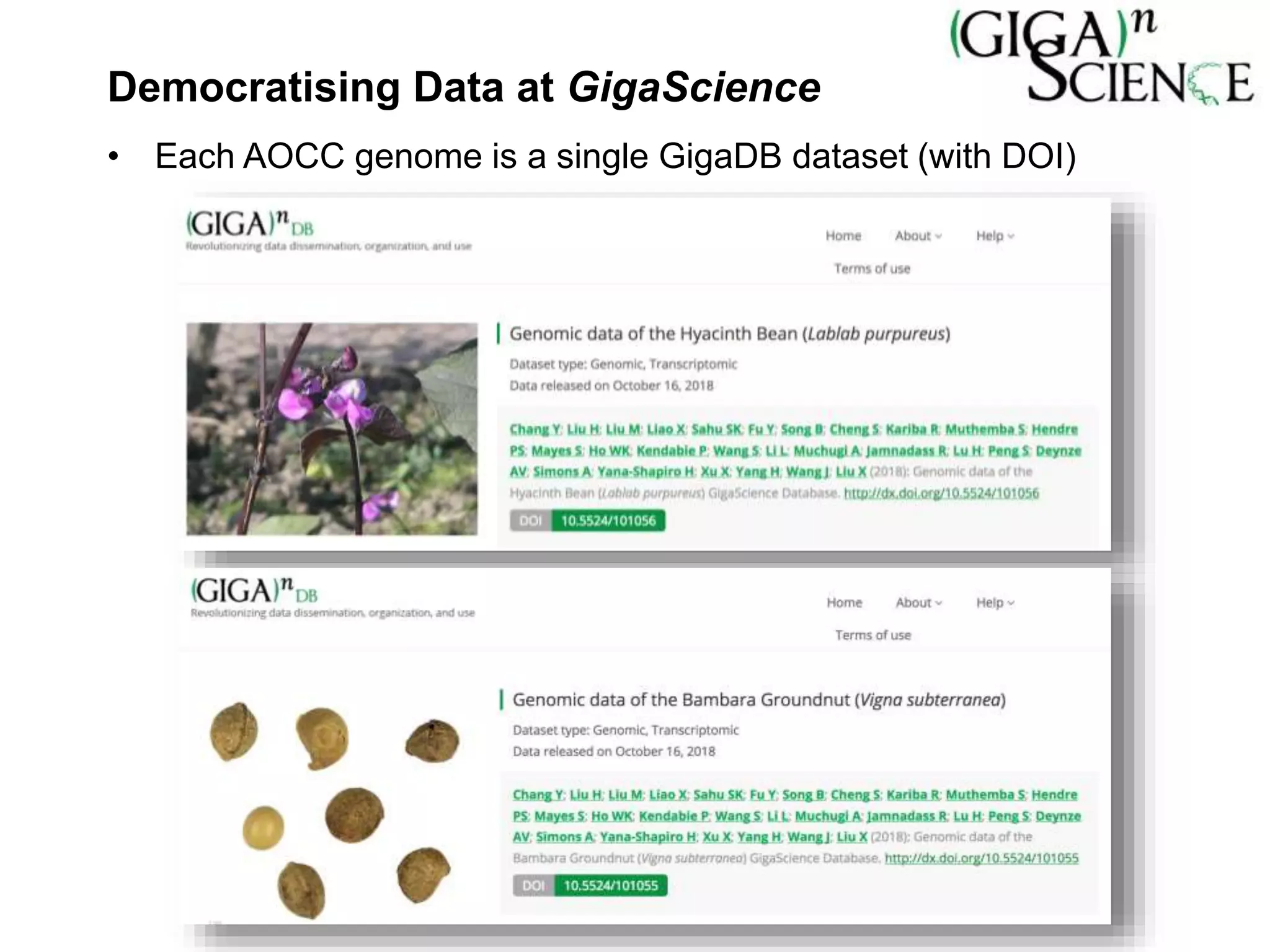 Democratising Data at GigaScience
• Each AOCC genome is a single GigaDB dataset (with DOI)
 