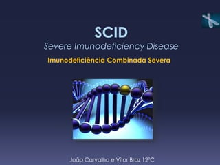 SCID
Severe Imunodeficiency Disease
Imunodeficiência Combinada Severa




     João Carvalho e Vítor Braz 12ºC
 