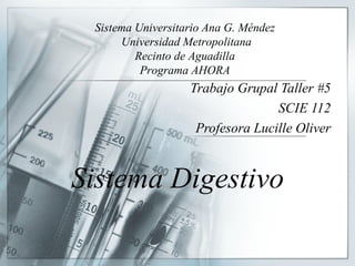 Sistema Digestivo Trabajo Grupal Taller #5 SCIE 112 Profesora Lucille Oliver Sistema Universitario Ana G. Méndez Universidad Metropolitana Recinto de Aguadilla Programa AHORA 