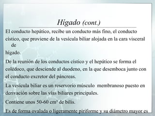Hígado  (cont.) El conducto hepático, recibe un conducto más fino, el conducto  cístico, que proviene de la vesícula biliar alojada en la cara visceral de  hígado.  De la reunión de los conductos cístico y el hepático se forma el  colédoco, que desciende al duodeno, en la que desemboca junto con  el conducto excretor del páncreas.  La vesícula biliar es un reservorio músculo  membranoso puesto en  derivación sobre las vías biliares principales.  Contiene unos 50-60 cm³ de bilis.  Es de forma ovalada o ligeramente piriforme y su diámetro mayor es  de  unos 8 a 10 cm. 
