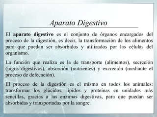 Aparato Digestivo El  aparato digestivo  es el conjunto de órganos encargados del proceso de la digestión, es decir, la transformación de los alimentos para que puedan ser absorbidos y utilizados por las células del organismo. La función que realiza es la de transporte (alimentos), secreción (jugos digestivos), absorción (nutrientes) y excreción (mediante el proceso de defecación). El proceso de la digestión es el mismo en todos los animales: transformar los glúcidos, lípidos y proteínas en unidades más sencillas, gracias a las enzimas digestivas, para que puedan ser absorbidas y transportadas por la sangre. 