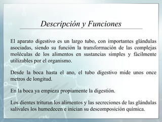 Descripción y Funciones El aparato digestivo es un largo tubo, con importantes glándulas asociadas, siendo su función la transformación de las complejas moléculas de los alimentos en sustancias simples y fácilmente utilizables por el organismo.  Desde la boca hasta el ano, el tubo digestivo mide unos once metros de longitud.  En la boca ya empieza propiamente la digestión.  Los dientes trituran los alimentos y las secreciones de las glándulas salivales los humedecen e inician su descomposición química.  