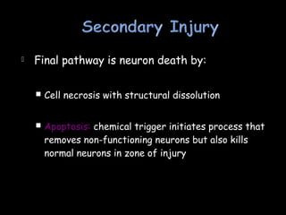  Final pathway is neuron death by:
 Cell necrosis with structural dissolution
 Apoptosis: chemical trigger initiates process that
removes non-functioning neurons but also kills
normal neurons in zone of injury
 
