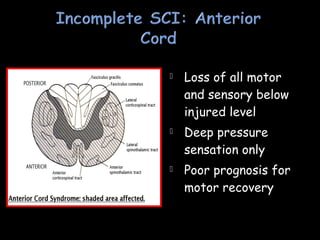  Loss of all motor
and sensory below
injured level
 Deep pressure
sensation only
 Poor prognosis for
motor recovery
 