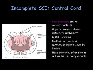  Best prognosis among
common patterns
 Upper extremity > lower
extremity involvement
 Distal > proximal
 Earliest and greatest
recovery in legs followed by
bladder
 Hand dexterity often slow to
return, full recovery variable
 