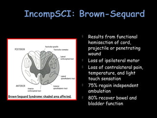  Results from functional
hemisection of cord,
projectile or penetrating
wound
 Loss of ipsilateral motor
 Loss of contralateral pain,
temperature, and light
touch sensation
 75% regain independent
ambulation
 80% recover bowel and
bladder function
 