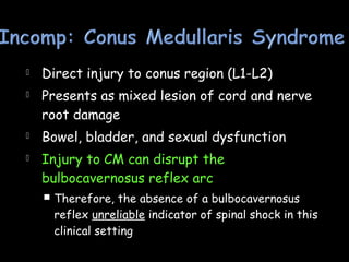  Direct injury to conus region (L1-L2)
 Presents as mixed lesion of cord and nerve
root damage
 Bowel, bladder, and sexual dysfunction
 Injury to CM can disrupt the
bulbocavernosus reflex arc
 Therefore, the absence of a bulbocavernosus
reflex unreliable indicator of spinal shock in this
clinical setting
 