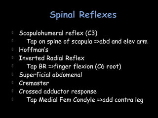  Scapulohumeral reflex (C3)
 Tap on spine of scapula =>abd and elev arm
 Hoffman’s
 Inverted Radial Reflex
 Tap BR =>finger flexion (C6 root)
 Superficial abdomenal
 Cremaster
 Crossed adductor response
 Tap Medial Fem Condyle =>add contra leg
 