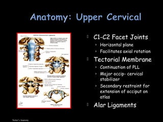  C1-C2 Facet Joints
› Horizontal plane
› Facilitates axial rotation
 Tectorial Membrane
› Continuation of PLL
› Major occip- cervical
stabilizer
› Secondary restraint for
extension of occiput on
atlas
 Alar Ligaments
Netter’s Anatomy
 