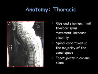  Ribs and sternum limit
thoracic spine
movement; increase
stability
 Spinal cord takes up
the majority of the
canal space
 Facet joints in coronal
plane
 