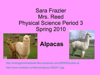 Sara Frazier Mrs. Reed Physical Science Period 3 Spring 2010 Alpacas http://writinggrandmasbook.files.wordpress.com/2009/06/zodiac-alpaca-dante.jpg http://www.cccfeeds.com/llamas/alpaca-3052411.jpg 