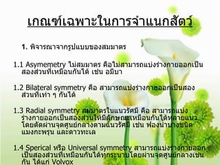 เกณฑ์เฉพาะในการจำแนกสัตว์ 1 .  พิจารณาจากรูปแบบของสมมาตร 1.1 Asymemetry  ไม่สมมาตร คือไม่สามารถแบ่งร่างกายออกเป็นสองส่วนที่เหมือนกันได้ เช่น อมีบา 1.2 Bilateral symmetry  คือ สามารถแบ่งร่างกายออกเป็นสองส่วนที่เท่า ๆ กันได้ 1.3 Radial symmetry  สมมาตรในแนวรัศมี คือ สามารถแบ่งร่างกายออกเป็นสองส่วนให้มีลักษณะเหมือนกันได้หลายแนว โดยตัดผ่านจุดศูนย์กลางตามแนวรัศมี เช่น ฟองน้ำบางชนิด แมงกะพรุน และดาวทะเล 1.4 Sperical  หรือ  Universal symmetry  สามารถแบ่งร่างกายออกเป็นสองส่วนที่เหมือนกันได้ทุกระนาบโดยผ่านจุดศูนย์กลางเช่นกัน ได้แก่  Volvox 
