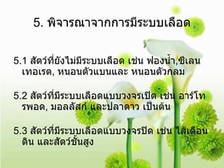 5.  พิจารณาจากการมีระบบเลือด 5.1  สัตว์ที่ยังไม่มีระบบเลือด เช่น ฟองน้ำ , ซีเลนเทอเรต ,  หนอนตัวแบนและ หนอนตัวกลม 5.2  สัตว์ที่มีระบบเลือดแบบวงจรเปิด เช่น อาร์โทรพอด ,  มอลลัสก์ และปลาดาว เป็นต้น 5.3  สัตว์ที่มีระบบเลือดแบบวงจรปิด เช่น ไส้เดือนดิน และสัตว์ชั้นสูง 