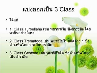 แบ่งออกเป็น  3 Class ได้แก่ 1. Class Turbellaria  เช่น พลานาเรีย ซึงดำรงชีพโดยหากินอย่างอิสระ 2. Class Trematoda  เช่น พยาธิใบไม้ชนิดต่าง ๆ ซึ่งดำรงชีพโดยการเป็นปาราสิต 3. Class Cestoda  เช่น พยาธิตัวตืด ซึ่งดำรงชีพโดยเป็นปาราสิต 