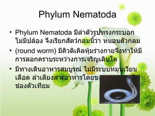 Phylum Nematoda Phylum Nematoda  มีลำตัวรูปทรงกระบอก ไม่มีปล้อง จึงเรียกสัตว์กลุ่มนี้ว่า หนอนตัวกลม ( round worm )  มีคิวติเคิลหุ้มร่างกายจึงทำให้มีการลอกคราบระหว่างการเจริญเติบโต  มีทางเดินอาหารสมบูรณ์ ไม่มีระบบหมุนเวียนเลือด ลำเลียงสารอาหารโดยของเหลวภายในช่องตัวเทียม 