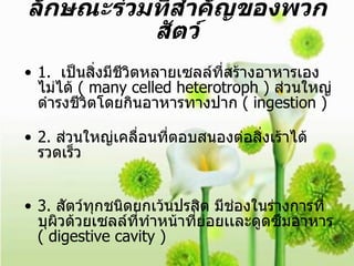 1.  เป็นสิ่งมีชีวิตหลายเซลล์ที่สร้างอาหารเองไม่ได้  ( many celled heterotroph )  ส่วนใหญ่ดำรงชีวิตโดยกินอาหารทางปาก  ( ingestion )  2.  ส่วนใหญ่เคลื่อนที่ตอบสนองต่อสิ่งเร้าได้รวดเร็ว  3.  สัตว์ทุกชนิดยกเว้นปรสิต มีช่องในร่างการที่บุผิวด้วยเซลล์ที่ทำหน้าที่ย่อยเเละดูดซึมอาหาร  ( digestive cavity )  ลักษณะร่วมที่สำคัญของพวกสัตว์ 