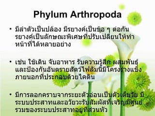 Phylum Arthropoda มีลำตัวเป็นปล้อง มีรยางค์เป็นข้อ ๆ ต่อกัน รยางค์เป็นลักษณะพิเศษที่ปรับเปลี่ยนให้ทำหน้าที่ได้หลายอย่าง เช่น ใช้เดิน จับอาหาร รับความรู้สึก ผสมพันธุ์และป้องกันอันตรายสัตว์ไฟลัมนี้มีโครงร่างแข็งภายนอกที่ประกอบด้วยไคติน มีการลอกคราบจากระยะตัวอ่อนเป็นตัวเต็มวัย มีระบบประสาทและอวัยวะรับสัมผัสที่เจริญมีศูนย์รวมของระบบประสาทอยู่ที่ส่วนหัว  มีระบบหมุนเวียนเลือดแบบเปิด และสืบพันธุ์แบบอาศัยเพศ 