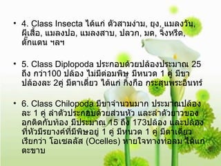 4. Class Insecta  ได้แก่ ตัวสามง่าม ,  ยุง ,  แมลงวัน ,  ผีเสื้อ ,  แมลงปอ ,  แมลงสาบ ,  ปลวก ,  มด ,  จิ้งหรีด ,  ตั๊กแตน ฯลฯ 5. Class Diplopoda  ประกอบด้วยปล้องประมาณ  25  ถึง กว่า 100  ปล้อง ไม่มีต่อมพิษ มีหนวด  1  คู่ มีขาปล้องละ  2 คู่ มีตาเดี่ยว ได้แก่ กิ้งกือ กระสุนพระอินทร์ 6. Class Chilopoda  มีขาจำนวนมาก ประมาณปล้องละ  1  คู่ ลำตัวประกอบด้วยส่วนหัว และลำตัวยาวของอกติดกับท้อง มีประมาณ  15  ถึง  173 ปล้อง และปล้องที่หัวมีรยางค์ที่มีพิษอยู่  1  คู่ มีหนวด  1  คู่ มีตาเดี่ยว เรียกว่า โอเซลลัส  (Ocelles)  หายใจทางท่อลม ได้แก่ ตะขาบ 