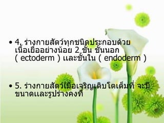 4.  ร่างกายสัตว์ทุกชนิดประกอบด้วย เนื้อเยื่ออย่างน้อย  2  ชั้น ชั้นนอก  ( ectoderm )  เเละชั้นใน  ( endoderm ) 5.  ร่างกายสัตว์เมื่อเจริญเติบโตเต็มที่ จะมีขนาดเเละรูปร่างคงที่  
