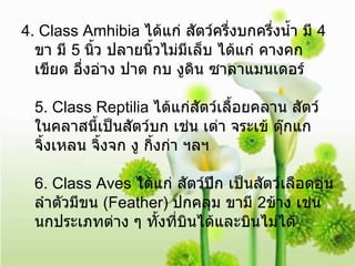 4. Class Amhibia  ได้แก่ สัตว์ครึ่งบกครึ่งน้ำ มี  4  ขา มี  5  นิ้ว ปลายนิ้วไม่มีเล็บ ได้แก่ คางคก เขียด อึ่งอ่าง ปาด กบ งูดิน ซาลาแมนเดอร์ 5. Class Reptilia  ได้แก่สัตว์เลื้อยคลาน สัตว์ในคลาสนี้เป็นสัตว์บก   เช่น เต่า จระเข้ ตุ๊กแก จิ้งเหลน จิ้งจก งู กิ้งก่า ฯลฯ  6. Class Aves  ได้แก่ สัตว์ปีก เป็นสัตว์เลือดอุ่น ลำตัวมีขน  (Feather)  ปกคลุม ขามี  2 ข้าง เช่น นกประเภทต่าง ๆ ทั้งที่บินได้และบินไม่ได้   
