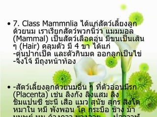7. Class Mammnlia  ได้แก่สัตว์เลี้ยงลูกด้วยนม เราเรียกสัตว์พวกนี้ว่า แมมมอล  (Mammal)  เป็นสัตว์เลือดอุ่น มีขนเป็นเส้น ๆ  (Hair)  คลุมตัว มี  4  ขา ได้แก่ - ตุ่นปากเป็ด และตัวกินมด ออกลูกเป็นไข่ - จิงโจ้ มีถุงหน้าท้อง - สัตว์เลี้ยงลูกด้วยนมอื่น ๆ ที่ตัวอ่อนมีรก  (Placenta)  เช่น ลิงกัง ลิงแสม ลิงชิมแปนซี ชะนี เสือ แมว สุนัข สุกร สิงโต หมาใน หมี พังพอน โค กระบือ ช้าง ม้า มนุษย์ หนู ค้างคาว นางอาย  ปลาวาฬ โลมา แมวน้ำ สิงโตทะเล ฯลฯ 