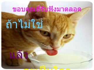 ขอบคุณที่รับฟังมาตลอด ถ้าไม่ใช่ แล้ว จะเป็นใคร 