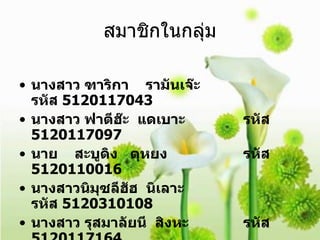 สมาชิกในกลุ่ม นางสาว ฑาริกา  รามันเจ๊ะ  รหัส  5120117043 นางสาว ฟาตีฮ๊ะ  แดเบาะ  รหัส  5120117097 นาย  สะบูดิง  ตุหยง  รหัส  5120110016 นางสาวนิมุซลีฮัฮ  นิเลาะ  รหัส  5120310108 นางสาว รุสมาลัยนี  สิงหะ  รหัส  5120117164 นางสาว สุรีรัตน์  อับดนเหล๊าะ รหัส   5120117203 นาย  อัซมิน  ยะผา  รหัส  5120117224   