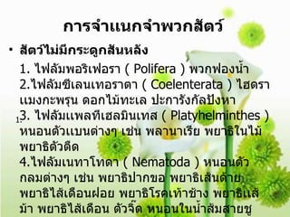การจำเเนกจำพวกสัตว์ สัตว์ไม่มีกระดูกสันหลัง  1.  ไฟลัมพอริเฟอรา  ( Polifera )  พวกฟองน้ำ  2. ไฟลัมซีเลนเทอราตา  ( Coelenterata )  ไฮดรา เเมงกะพรุน ดอกไม้ทะเล ปะการังกัลปังหา  3.  ไฟลัมเเพลทีเฮลมินเทส  ( Platyhelminthes )  หนอนตัวเเบนต่างๆ เช่น พลานาเรีย พยาธิในไม้ พยาธิตัวตืด 4. ไฟลัมเนทาโทดา  ( Nematoda )  หนอนตัวกลมต่างๆ เช่น พยาธิปากขอ พยาธิเส้นด้าย พยาธิไส้เดือนฝอย พยาธิโรคเท้าช้าง พยาธิเเส้ม้า พยาธิไส้เดือน ตัวจิ๊ด หนอนในน้ำส้มสายชู 