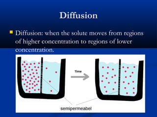 Diffusion
 Diffusion: when the solute moves from regions
of higher concentration to regions of lower
concentration.
 