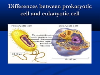 Differences between prokaryoticDifferences between prokaryotic
cell and eukaryotic cellcell and eukaryotic cell
 
