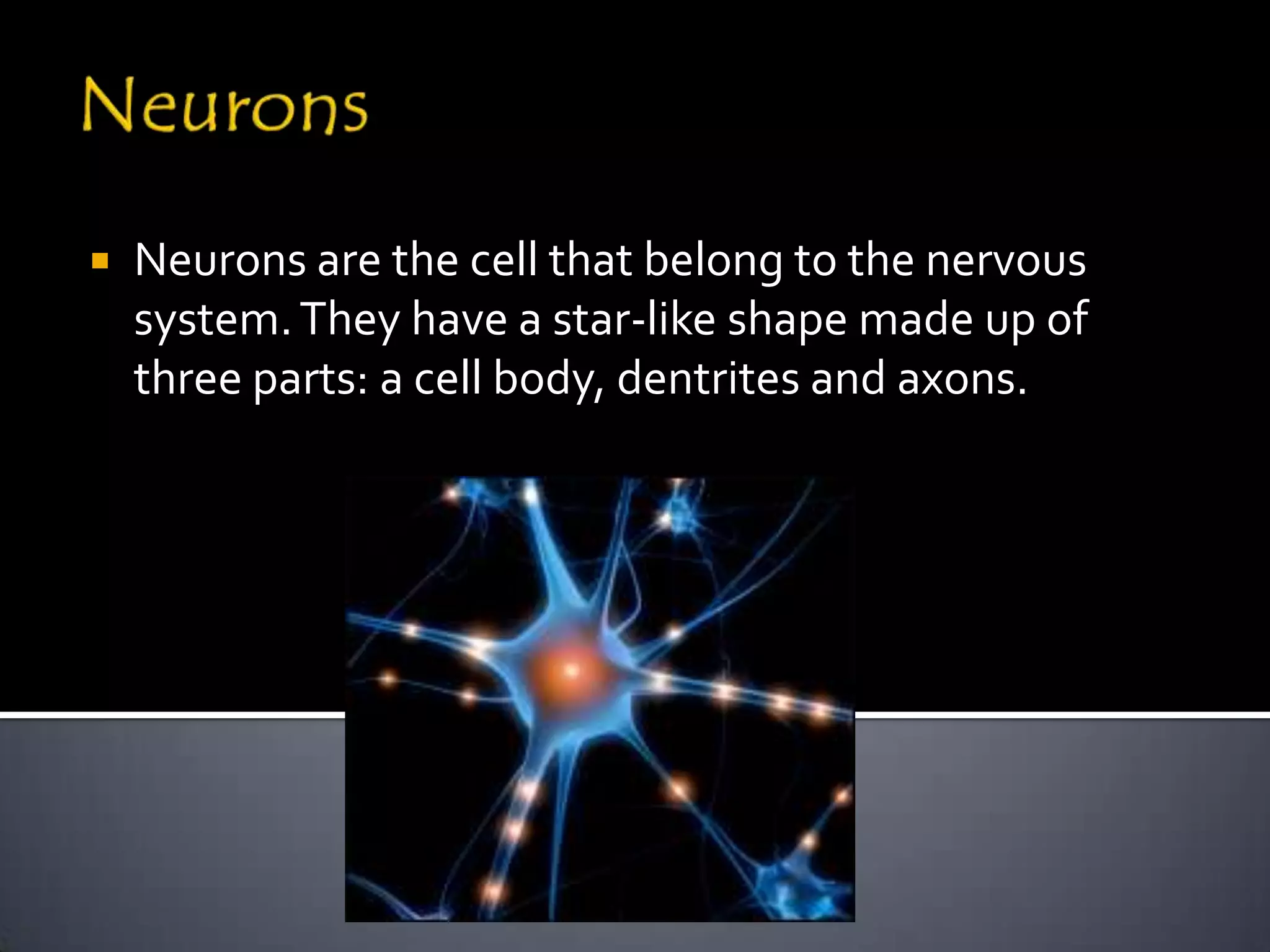    Neurons are the cell that belong to the nervous
    system. They have a star-like shape made up of
    three parts: a cell body, dentrites and axons.
 