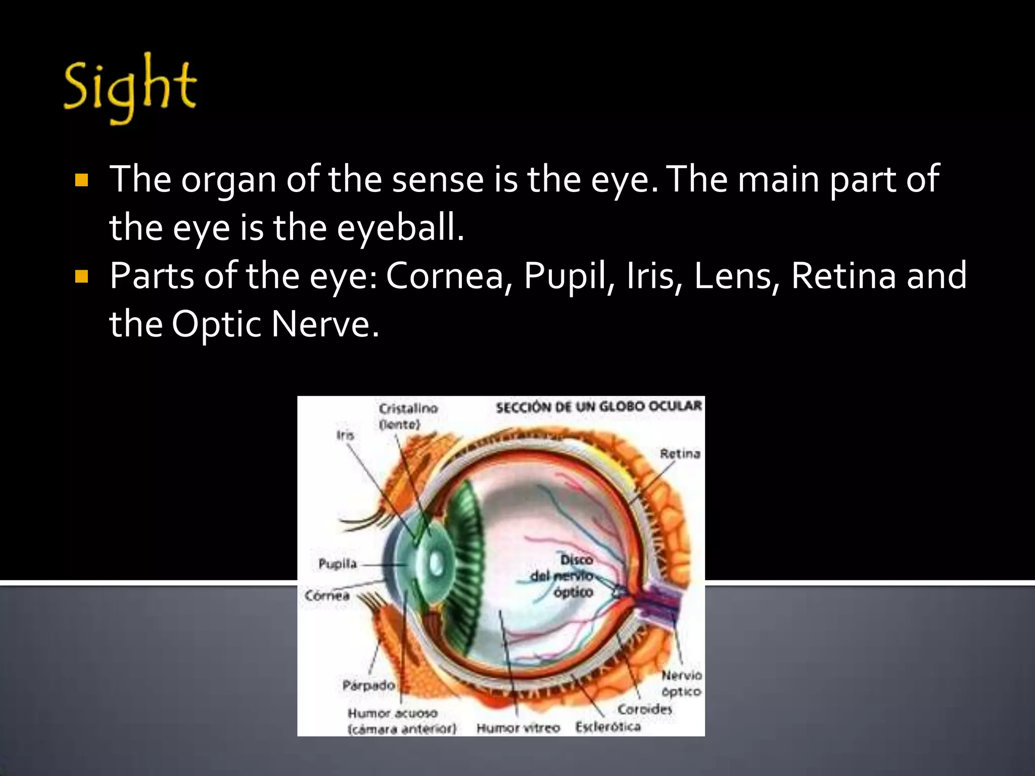  The organ of the sense is the eye. The main part of
  the eye is the eyeball.
 Parts of the eye: Cornea, Pupil, Iris, Lens, Retina and
  the Optic Nerve.
 